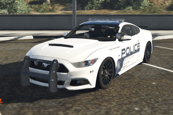 2015polstang