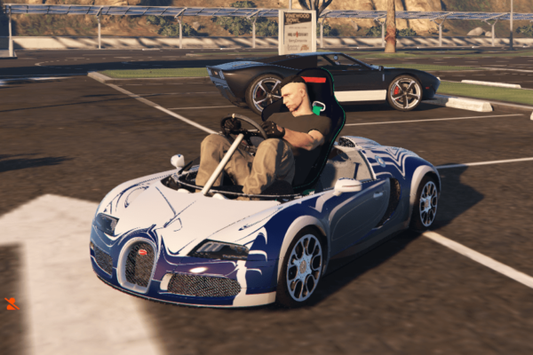 PV_bugvr