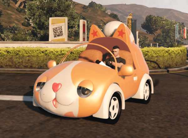 Cat_car