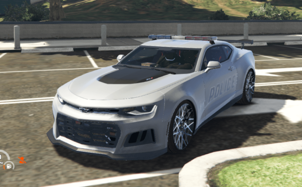Rmodzl1police